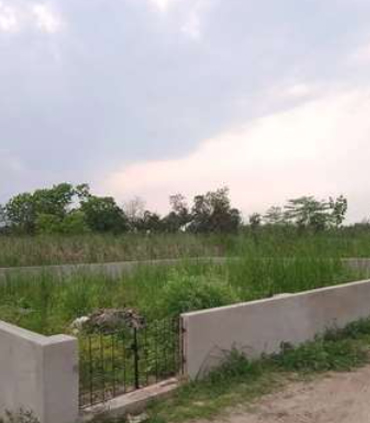 Animated Card Hover Effect Html & CSS