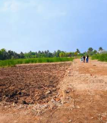 Animated Card Hover Effect Html & CSS