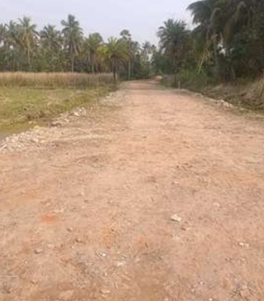 Animated Card Hover Effect Html & CSS