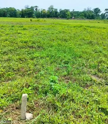 Animated Card Hover Effect Html & CSS