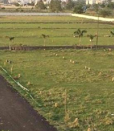 Animated Card Hover Effect Html & CSS